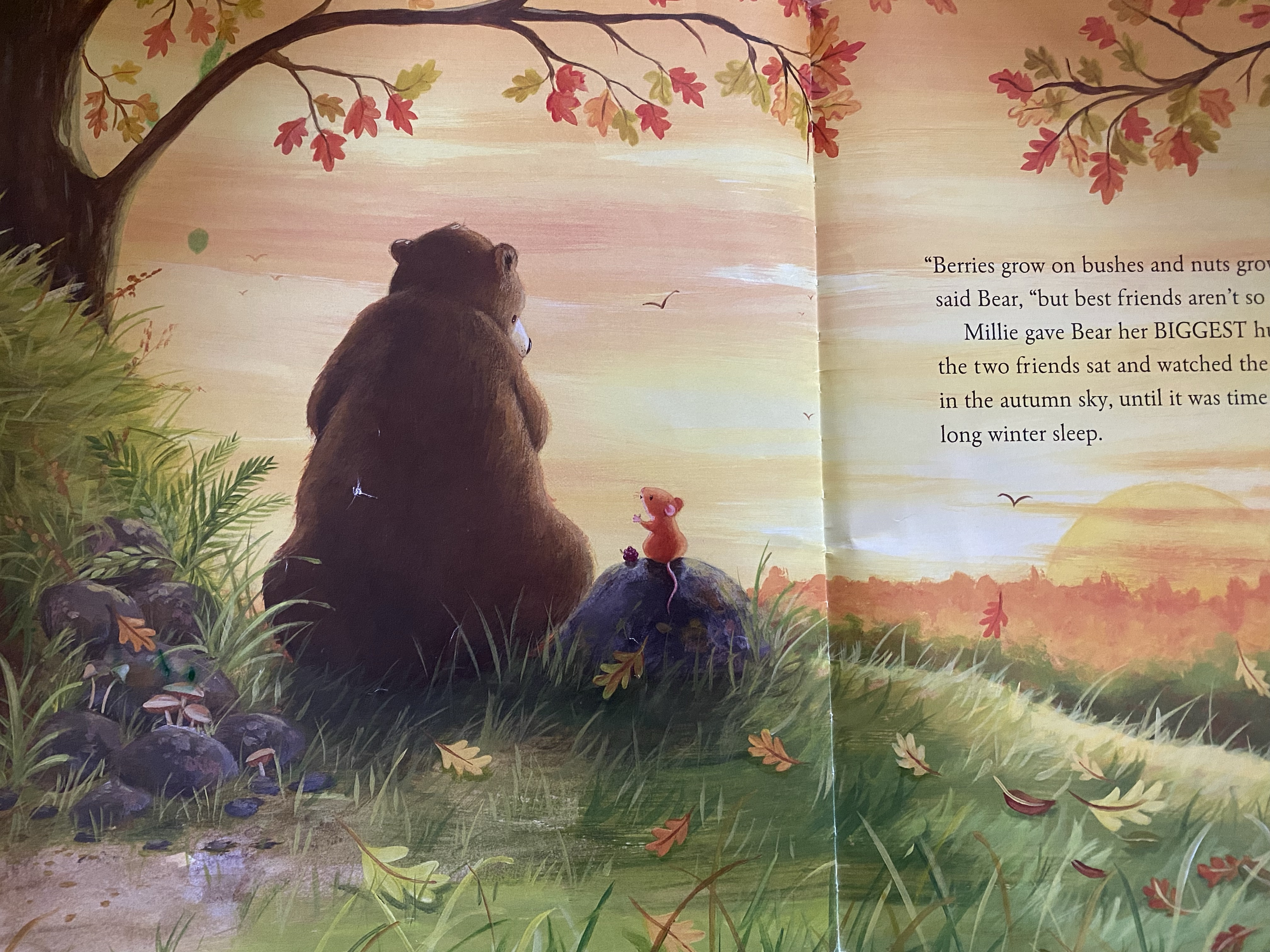 Book Reading & Comprehension: A Mouse So Small by Angela Mac Allister